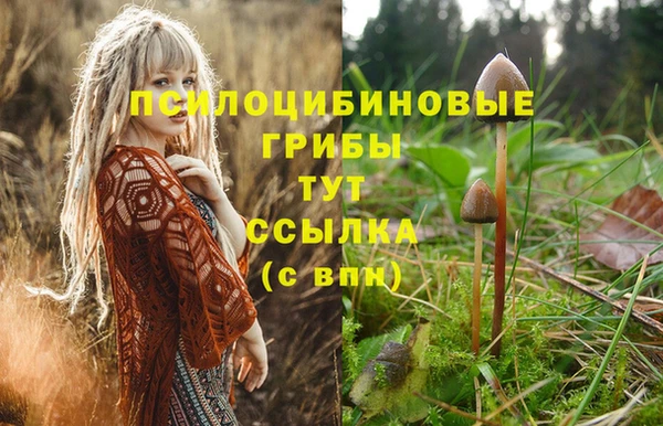 ECSTASY Баксан