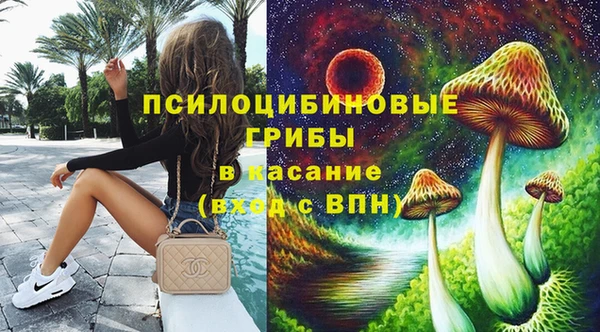 крисы Балахна