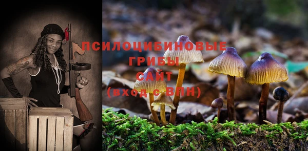 прущие грибы Покачи