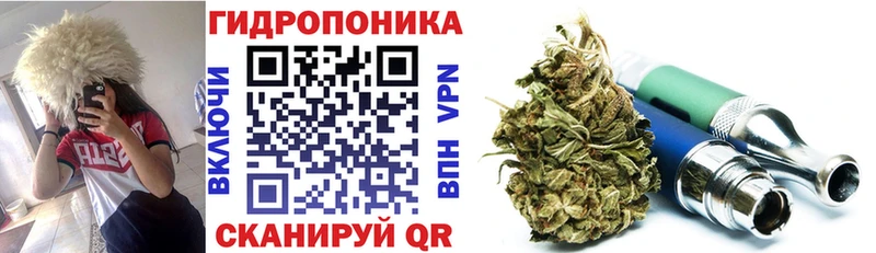 KRAKEN зеркало Сковородино Каннабис Ganja